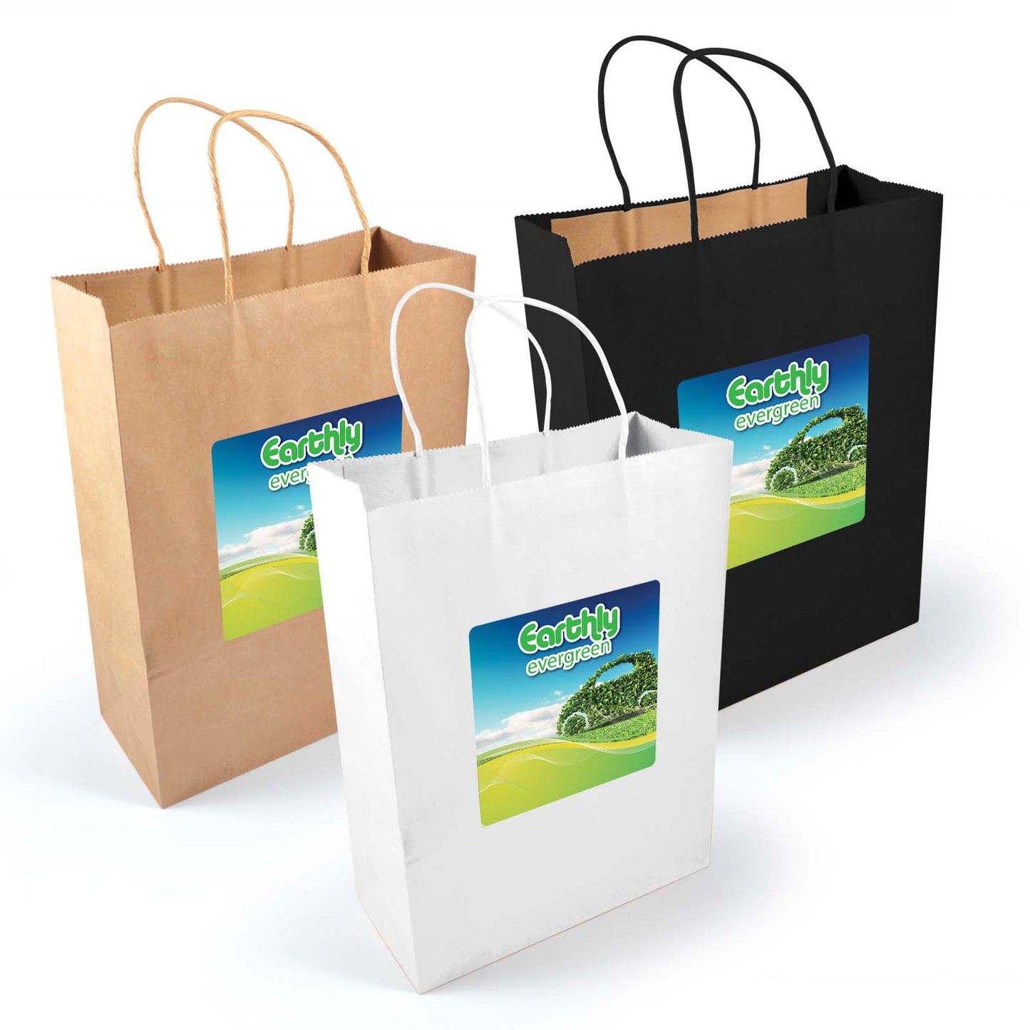 Express Paper Bag Small LL547 3D Print Creativity Pty Ltd